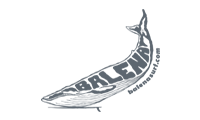 Balenasurf